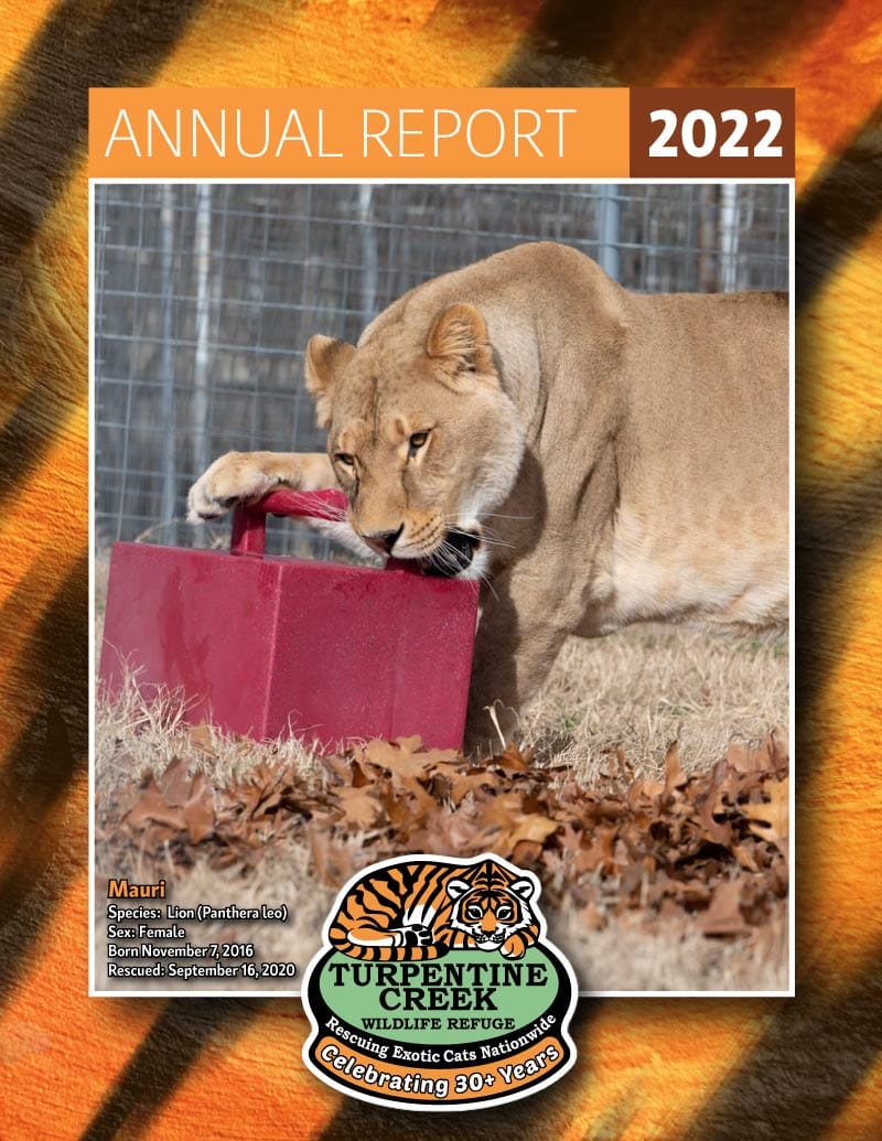 2022 Report