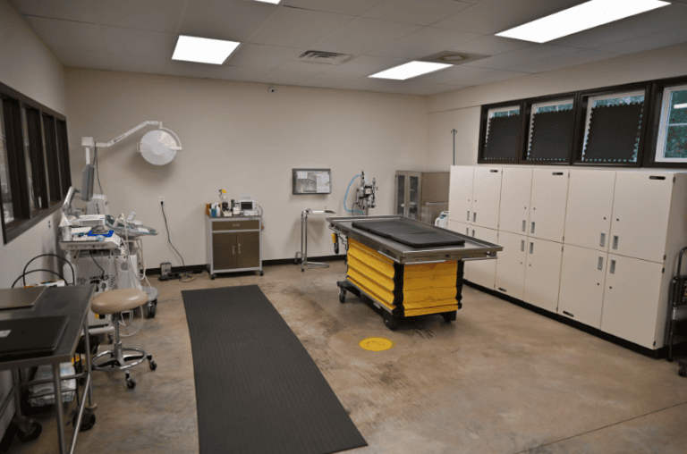 Surgery Room at Turpentine Creek Wildlife Refuge Vet Hospital
