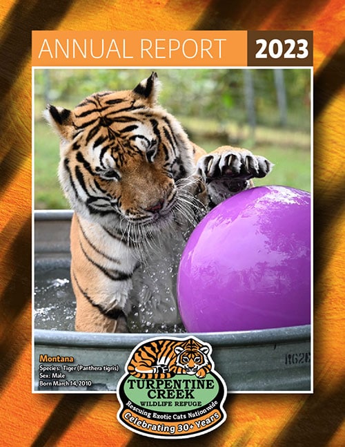 2023 Report