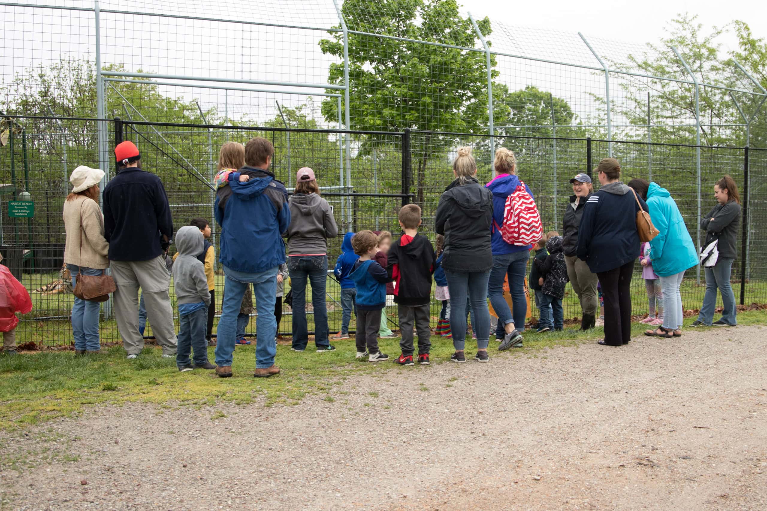 Group Tours