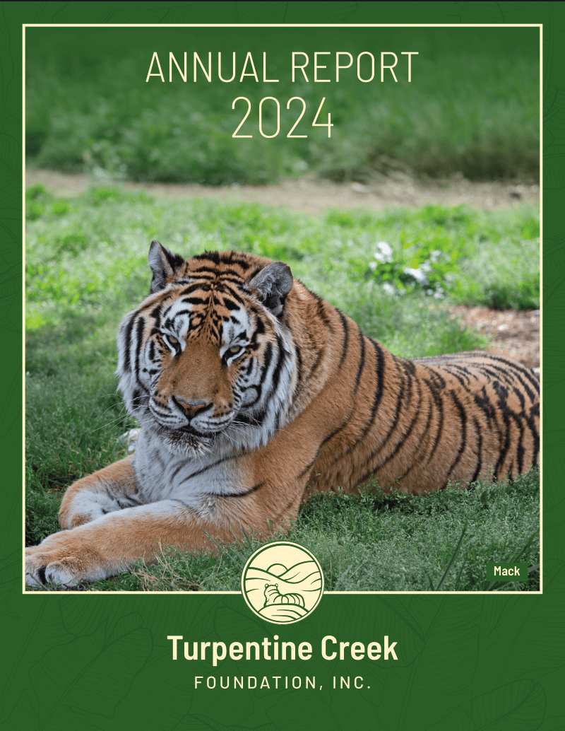 2024 Report