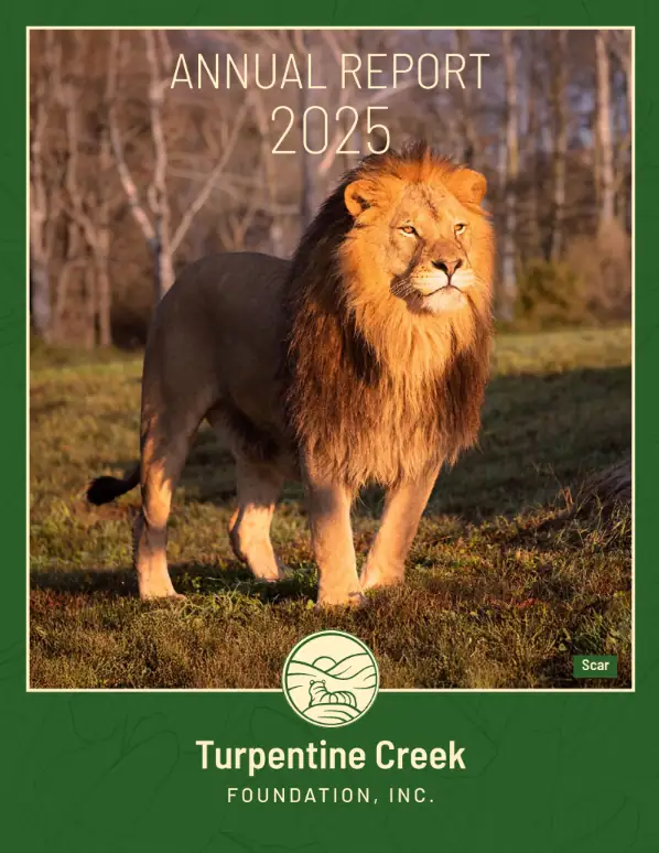 2025 Report