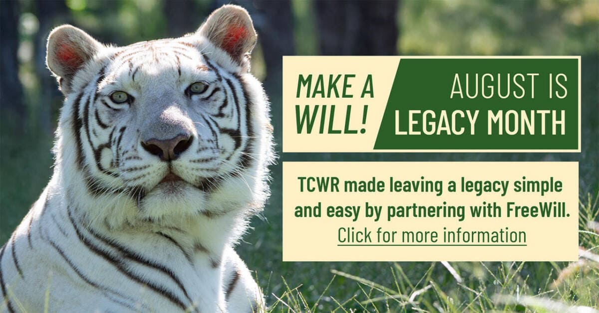 Make A Will Month