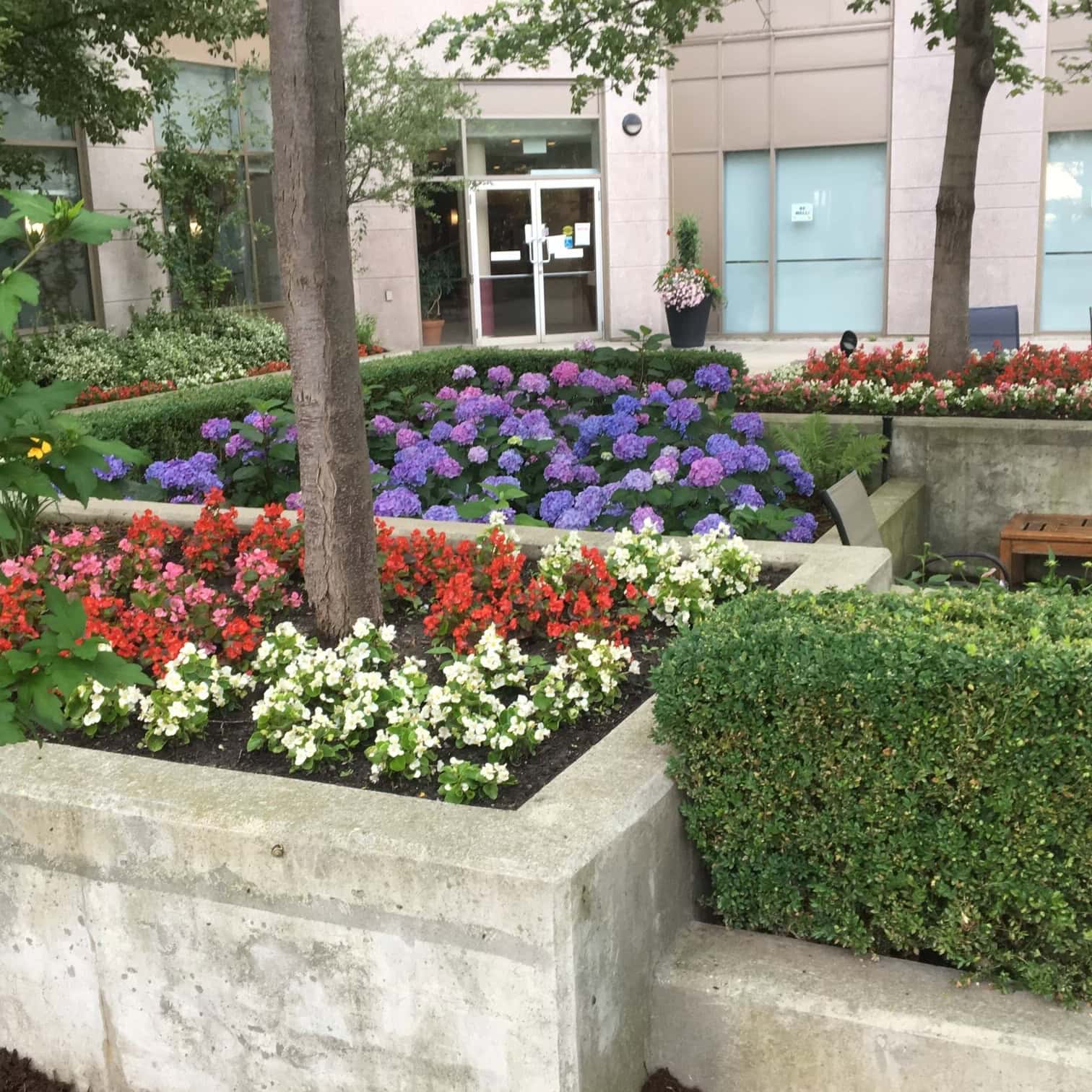 Colourful flowers blooming in the courtyard garden at Two Neptune Drive.