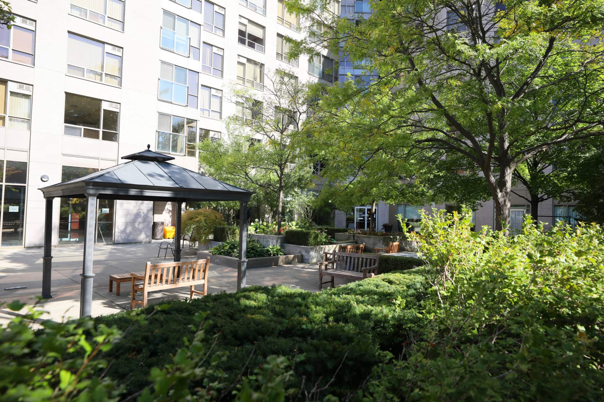Courtyard garden with mature trees at Two Neptune Drive.