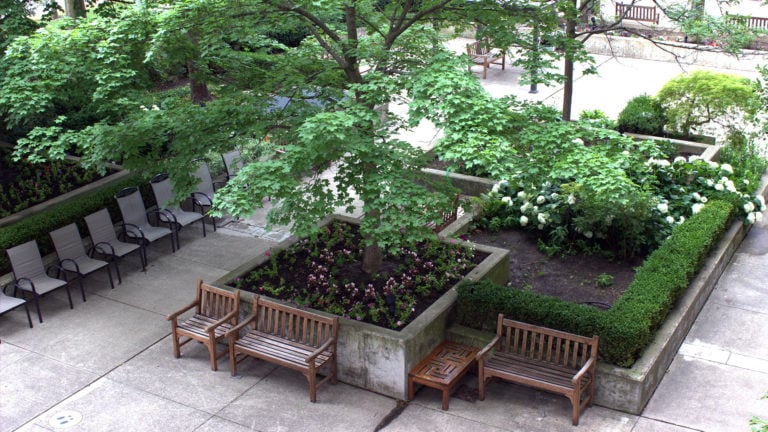 Landscaped courtyard garden with seating and greenery at Two Neptune Drive.