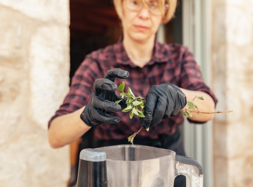 Γαστρονομικό εργαστήρι για επίδοξους σεφ