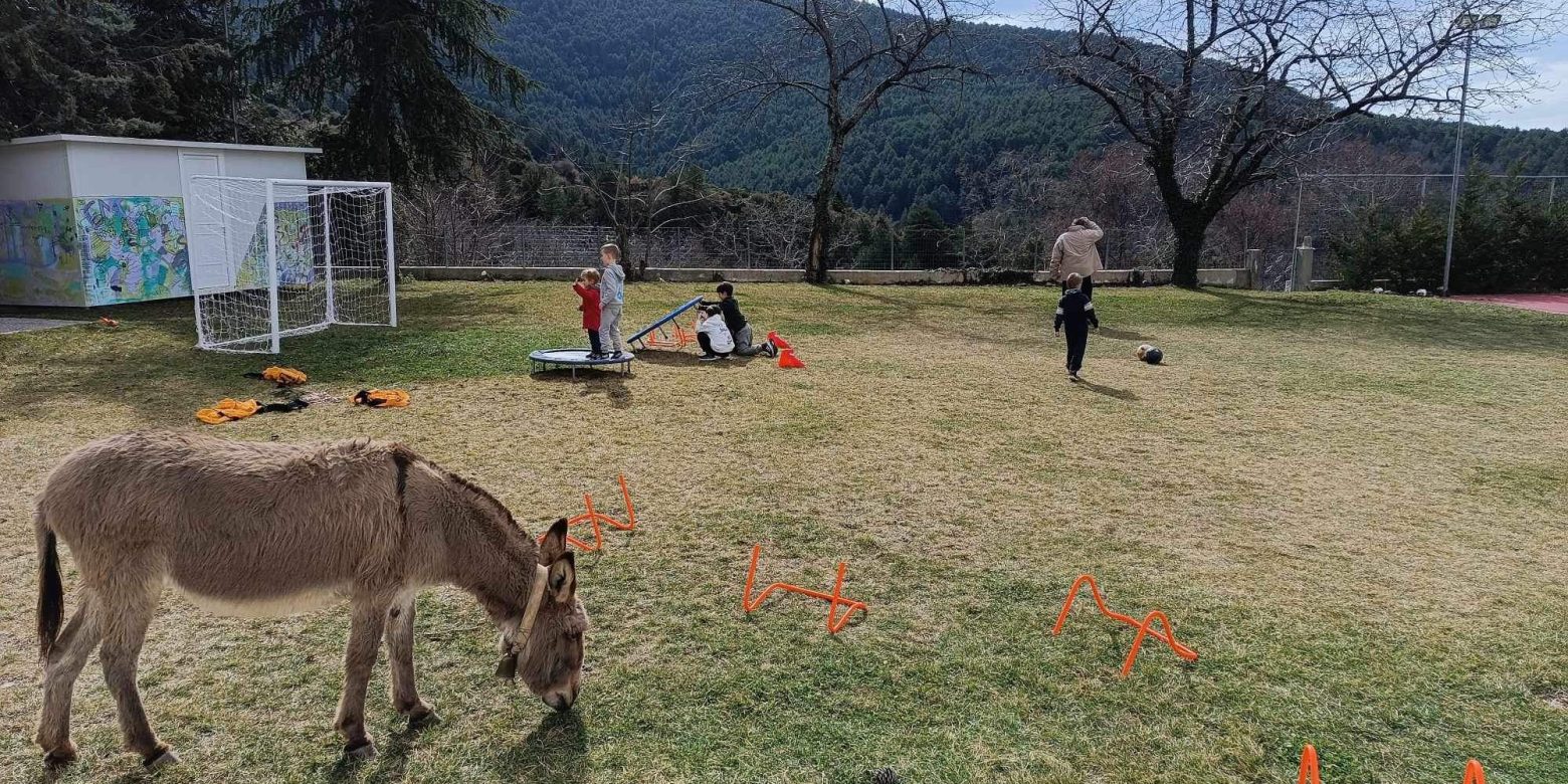 Eλεύθερο παιχνίδι για όλους