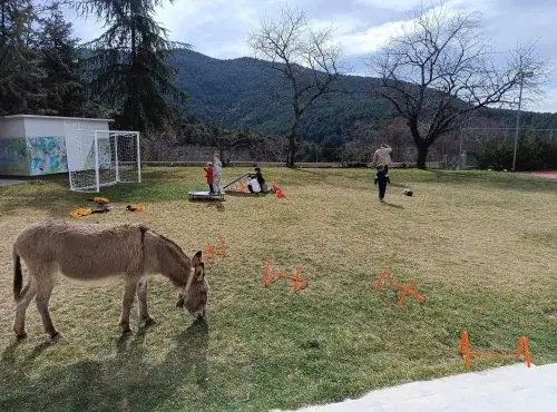 Eλεύθερο παιχνίδι για όλους