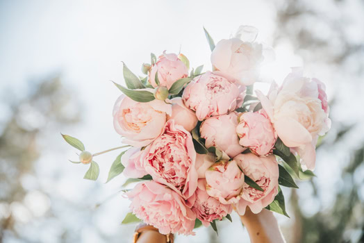 rosas bodas en granada