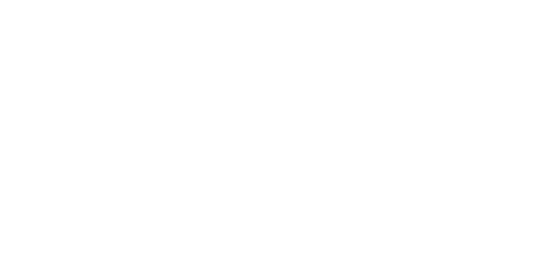 Il Digitale