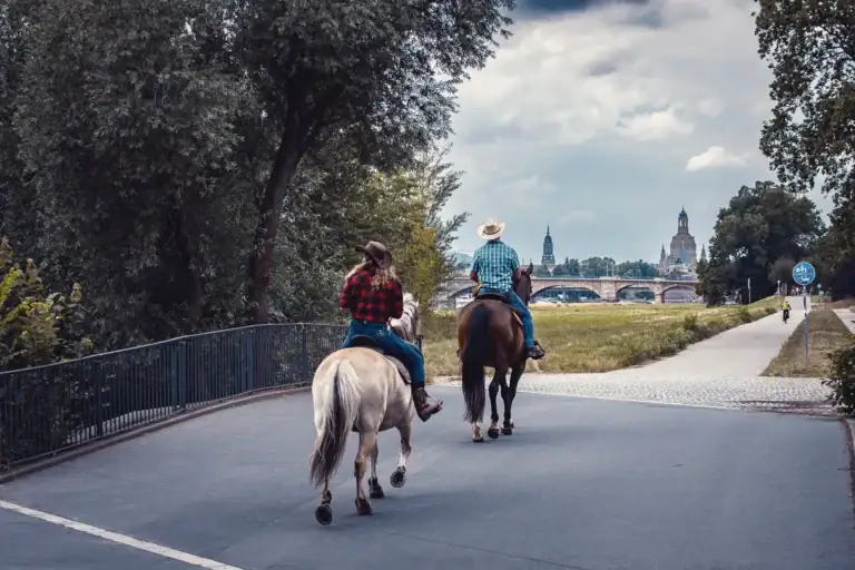 _DSC6255-Verbessert-RR