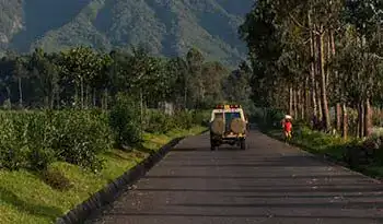 Rwanda gorilla operators