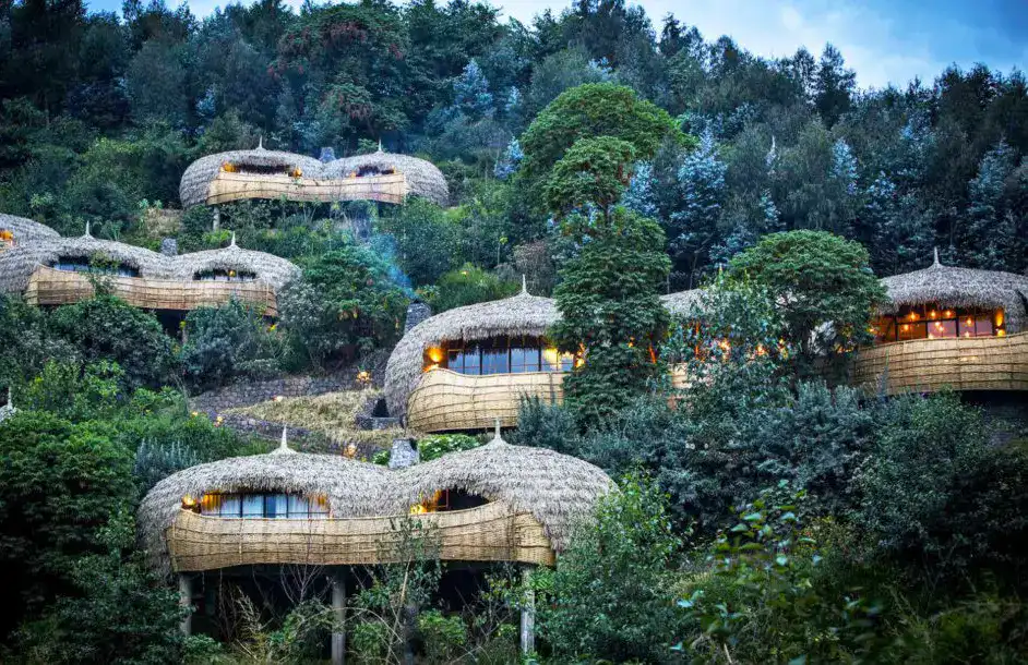 Bisate Lodge