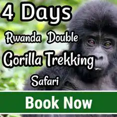 4 Days double gorilla trekking safari