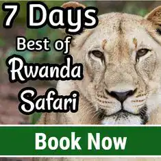 7 days best rwand safari