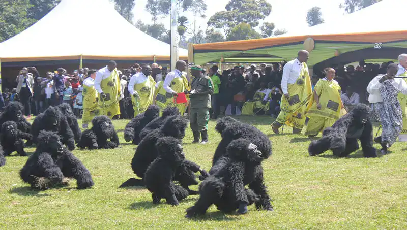 Kwita Izina