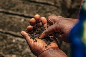 La voce dei popoli indigeni alla Cop17 per la biodiversità