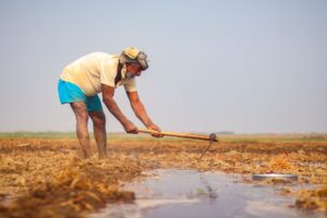 Cambiamenti climatici: un’emergenza anche per la Lombardia