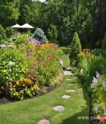   خرید گل و گیاه عمده|فروش گل و گیاه عمده تهران