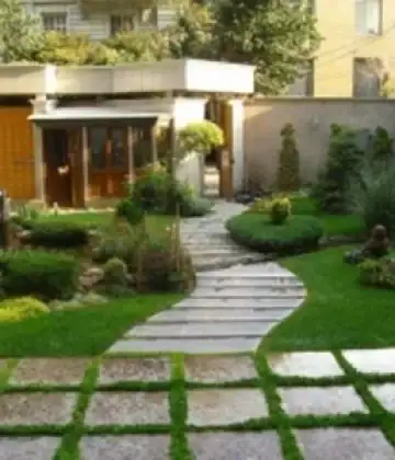   خرید گل و گیاه عمده|فروش گل و گیاه عمده تهران