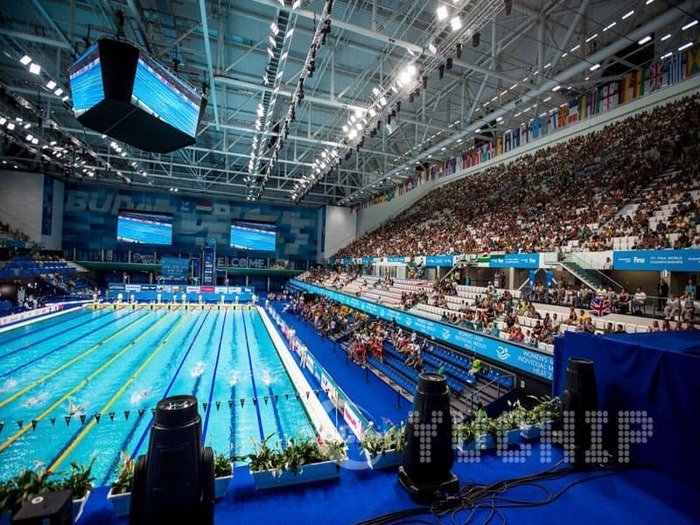2017 FINA World Championship