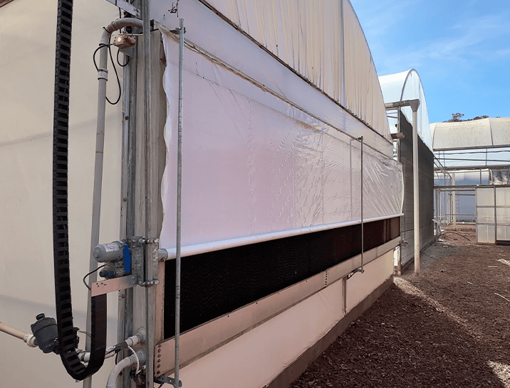 Sistema de Escurecimento