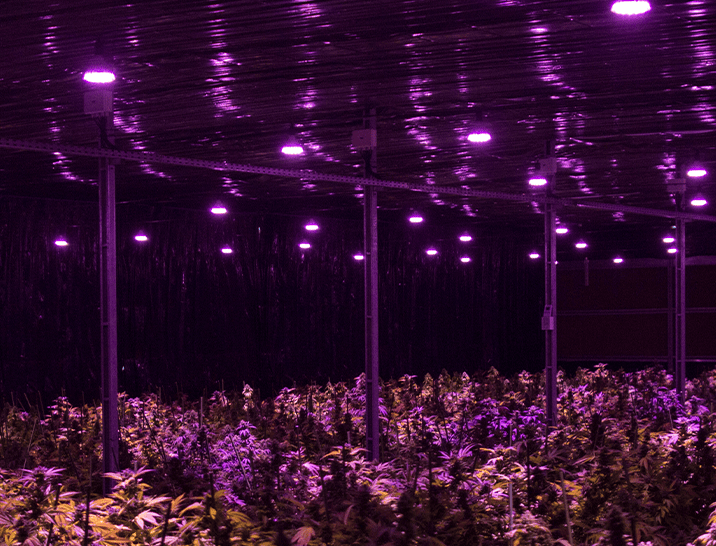 Sistema de Escurecimento