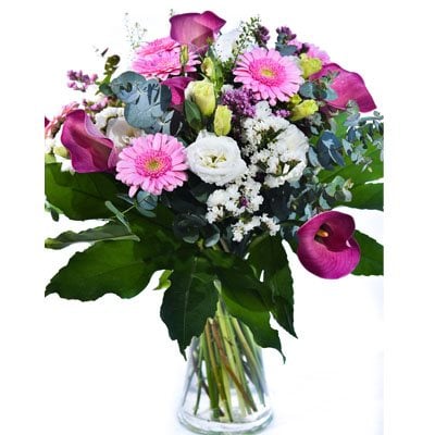 זר 17 - פרח בר - עמק חפר - נתניה