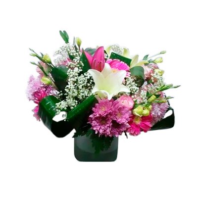 זר מס' 45 - הפינה הירוקה - בית שמש