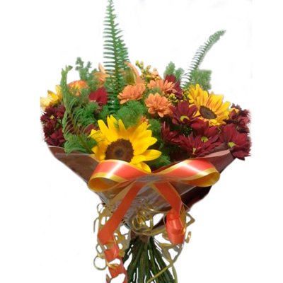 זר מס' 44 - הפינה הירוקה - בית שמש