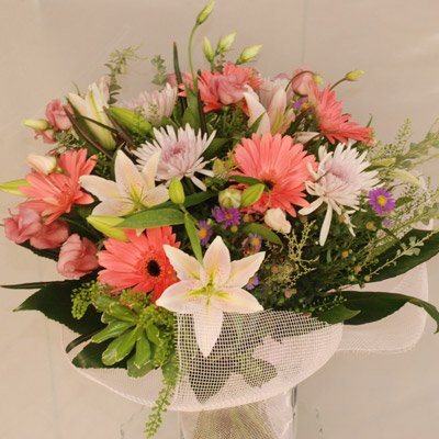 אהבה קסומה - פרח בר - עמק חפר - נתניה