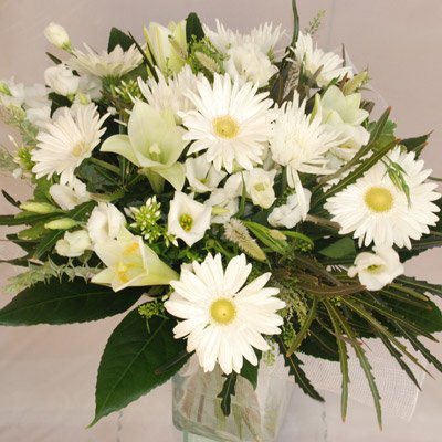 כפרי לבן - פרח בר - עמק חפר - נתניה