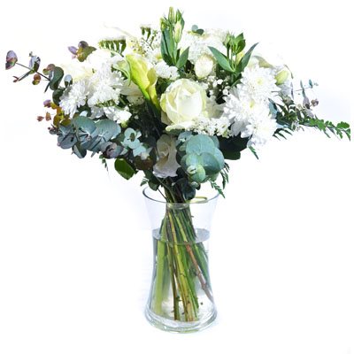 לבן אלגנטי - פרח בר - עמק חפר - נתניה