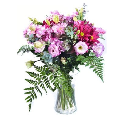 לך אהובתי  - פרח בר - עמק חפר - נתניה