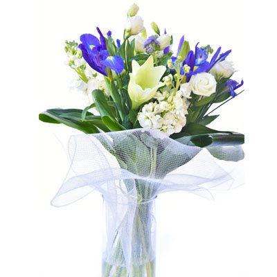 פרחי מלכות - פרח בר - עמק חפר - נתניה