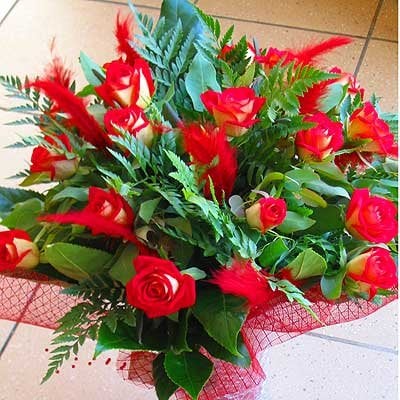 25 - פרחי שמש - אשדוד