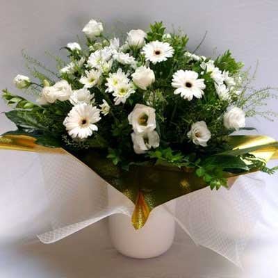 26 - פרחי שמש - אשדוד