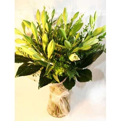 32 - פרחי שמש - אשדוד