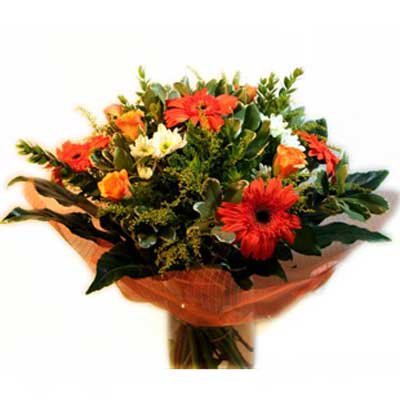 34 - פרחי שמש - אשדוד