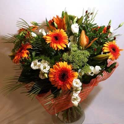 37 - פרחי שמש - אשדוד