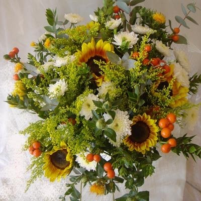 7 - פרחי שמש - אשדוד