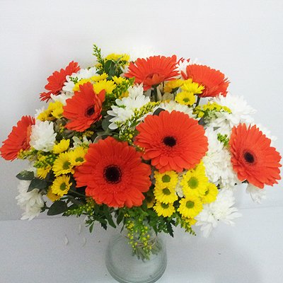 חמד זורח - פרחי חמד - קדומים