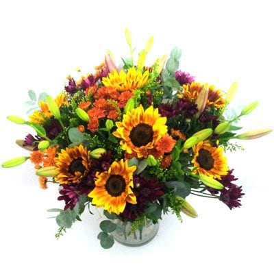 חמד כפרי - פרחי חמד - קדומים