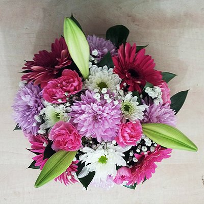 חמד שמח - פרחי חמד - קדומים