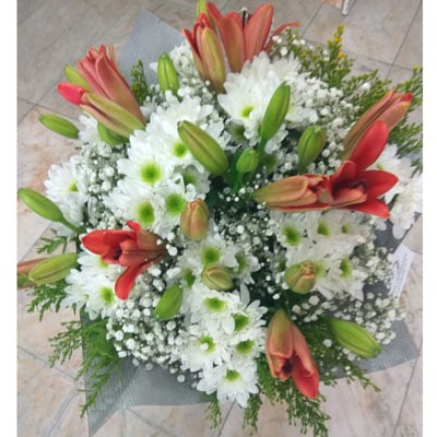 זר 10 - מימוזה - באר שבע