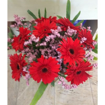 זר 29 - מימוזה - באר שבע