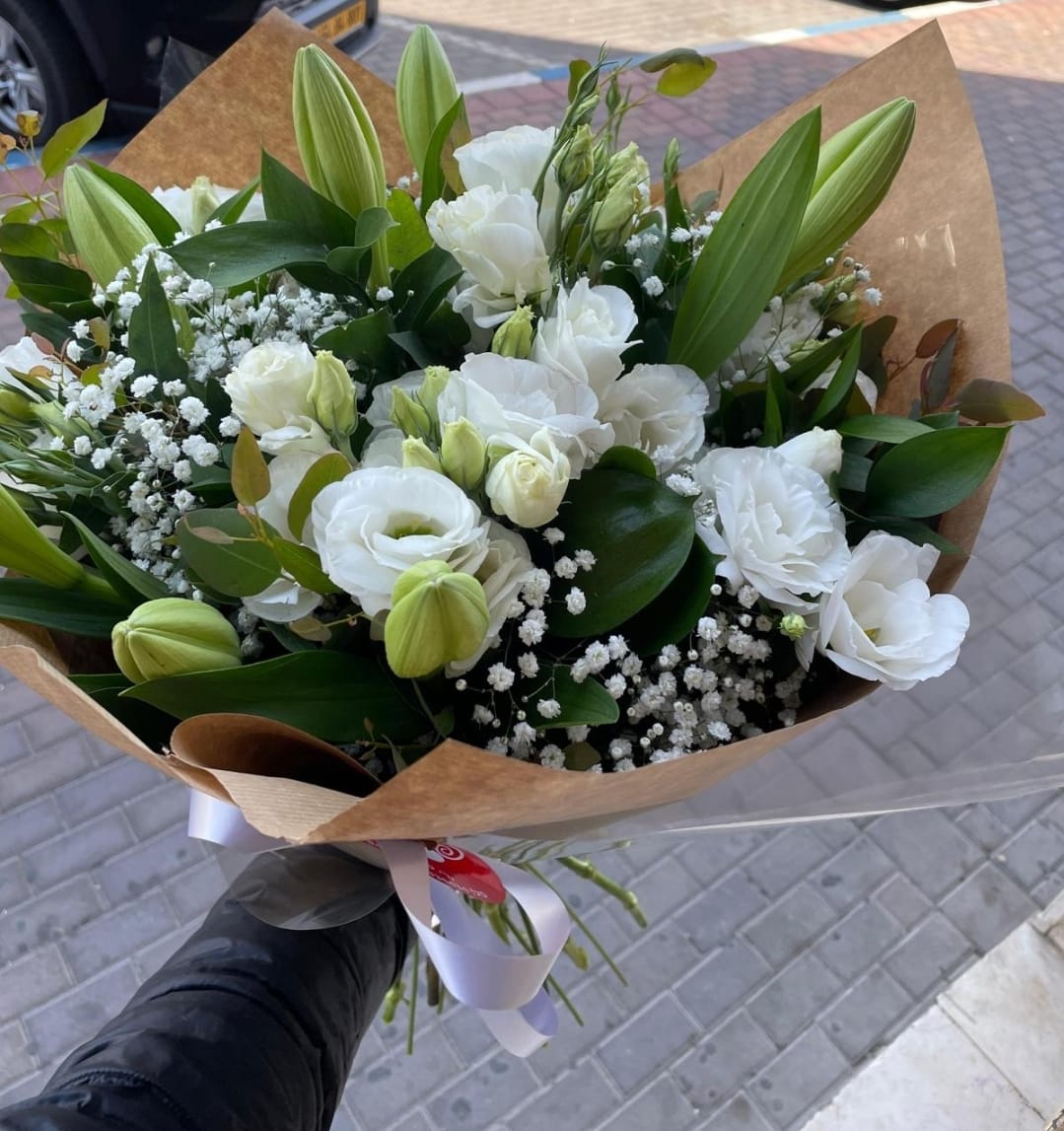 לבן קלאסי - פרח באהבה - אילת