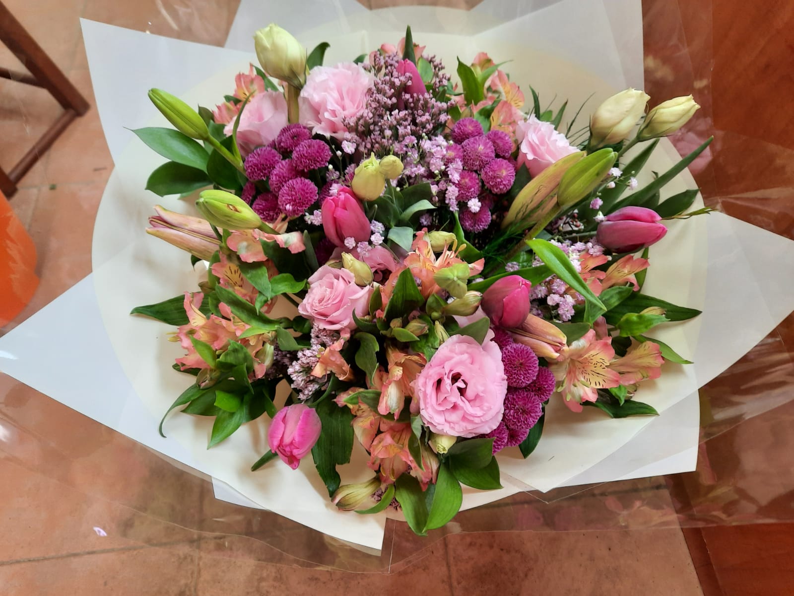 ורוד אוהב - פרח בר - עמק חפר - נתניה