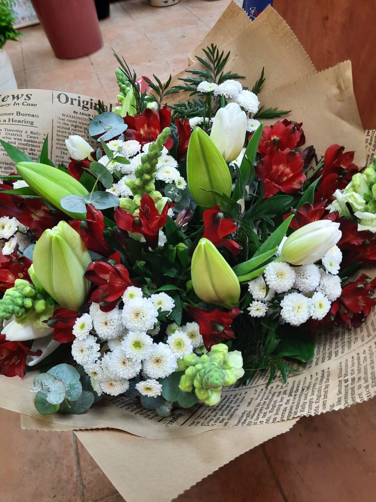 קסם - פרח בר - עמק חפר - נתניה